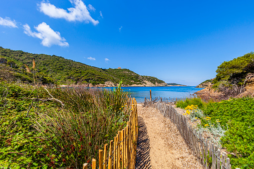 Footpath leading to the Plage de la Palud, a beach on the island of Port-Cros, that is part of the Îles d'Hyères archipelago, in southern France