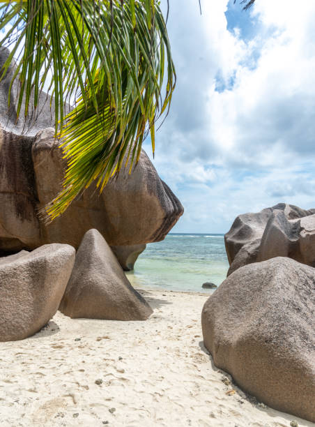 istock Granite rocks and palm trees by the sea in Anse Source d'Argent 1494039171