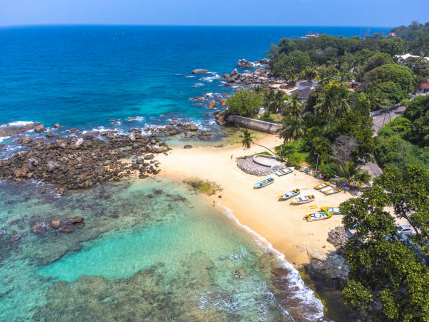 istock Aerial view of Glacis Beach shoreline 1494039720