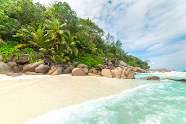 istock Famous Anse Georgette beach under a cloudy sky 1494040442