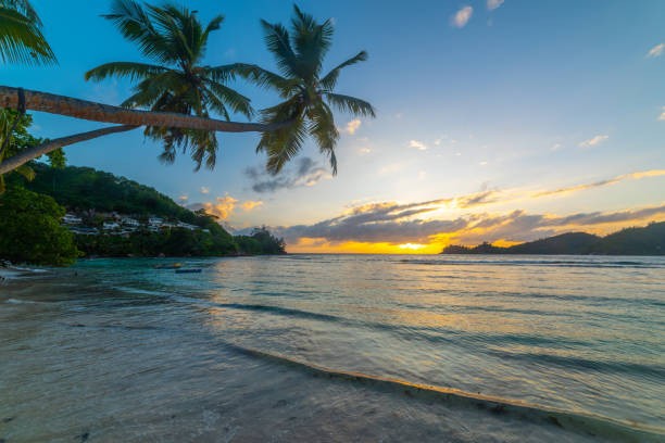 istock Sunset in Baie Lazare beach 1494040505