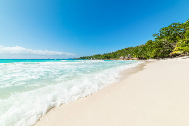 istock Turquoise water and white sand in Anse Lazio beach 1494040824