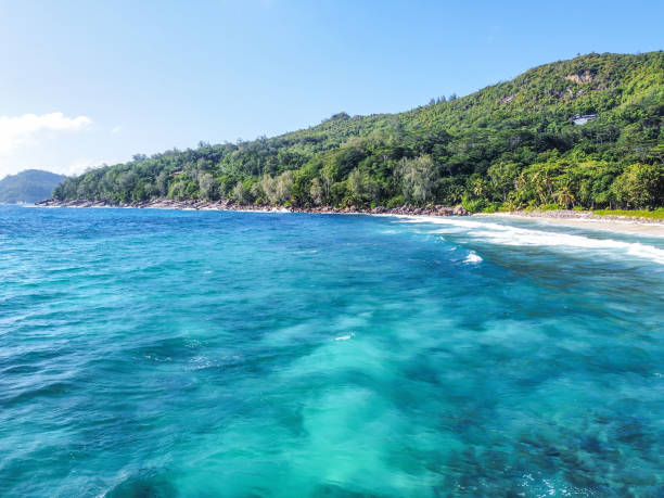 istock Blue sea in Anse Takamaka beach seen from above 1494041624