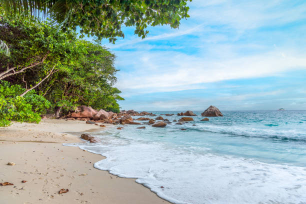 istock World famous Anse Lazio beach in Praslin island 1494042302