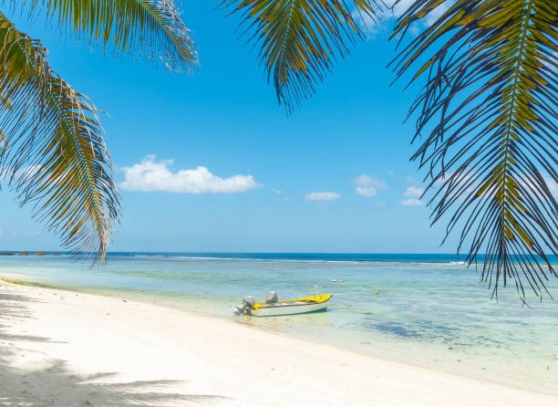 istock Boat and palm trees in Anse Forbans beach 1494042769