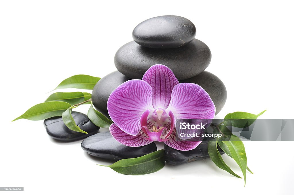 Orchidee auf den Steinen - Lizenzfrei Asiatische Kultur Stock-Foto