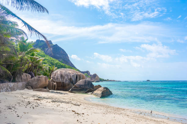 Anse Source d'Argent orilla en un día soleado - foto de stock