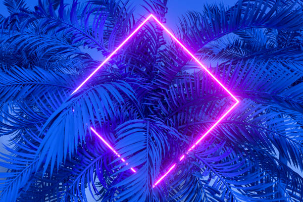 istock Tropical palm tree leaves with neon lightning frame, abstract background 1494045357