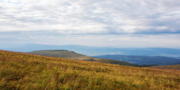 istock carpathian countryside with grassy meadows 1494045507