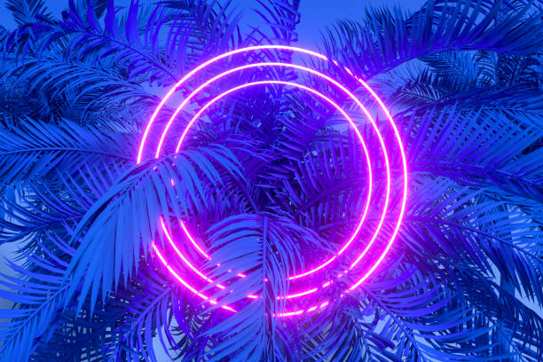 istock Tropical palm tree leaves with neon lightning frame, abstract background 1494046208