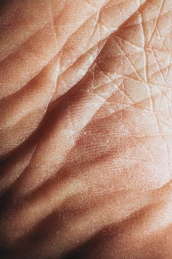 Macro of human hand palm skin - close up. Man palm hand skin texture closeup. Palm hand skin details