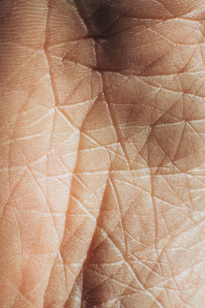Close-up of old man's hand