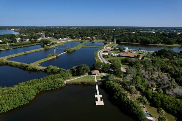istock A aerial drone view of Oldsmar, Florida 1494047381