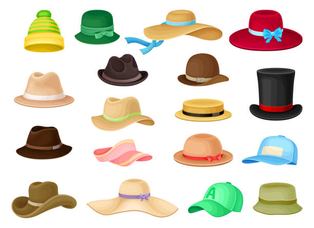 ilustrações, clipart, desenhos animados e ícones de chapéus de homem e mulher com abas e fita grande vetor set - top hat