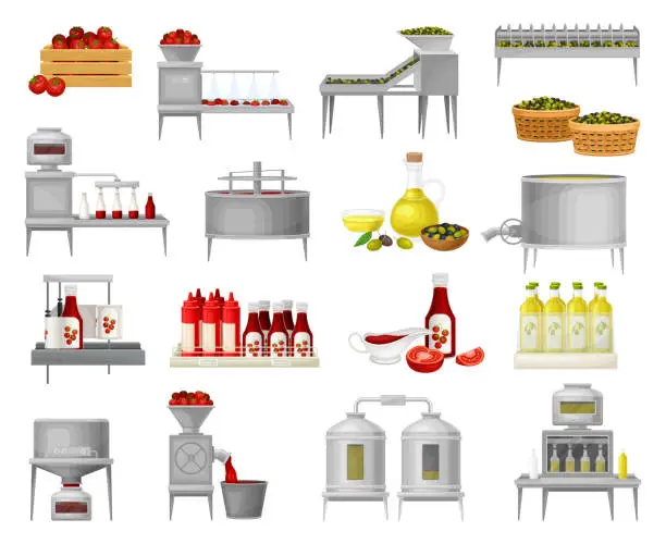 Vector illustration of Ketchup and Olive Oil Production and Manufacturing Process Big Vector Set