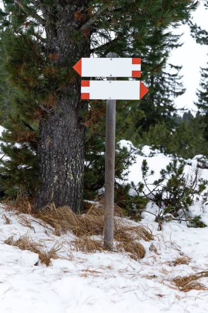istock the snow is very white with no signs at this time 1494052331