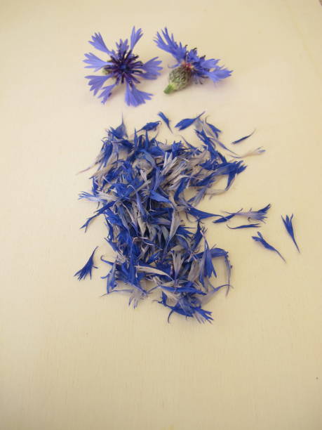 istock Dried blue cornflower flower petals 1494052422