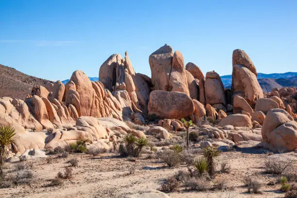 Giant rock formations among the desert landscape of Joshua Tree National Park