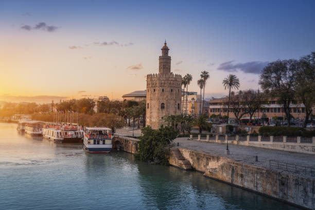 torre del oro (złota wieża) nad rzeką gwadalkiwir o zachodzie słońca - sewilla, andaluzja, hiszpania - seville torre del oro sevilla spain zdjęcia i obrazy z banku zdjęć