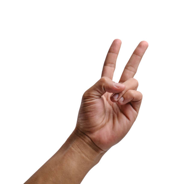 istock Peaceful Gesture: Male Hand Symbolizing Peace against White or Transparent Background 1494054203