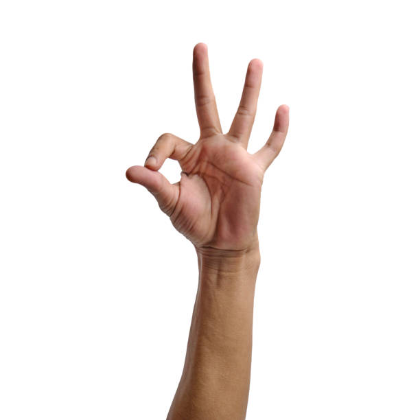 istock Agreement in Hand: Symbol of Unity against White or Transparent Background 1494054209