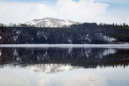 Reflection in the water of Yellowstone Lake of trees and the snow-covered mountaintop at sunset in Yellowstone National Park Wyoming in spring.