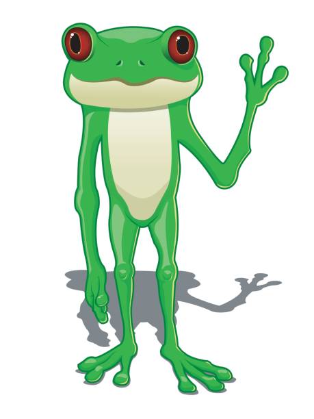 żaba kreskówka, machający - green treefrog frog common frog tree frog stock illustrations