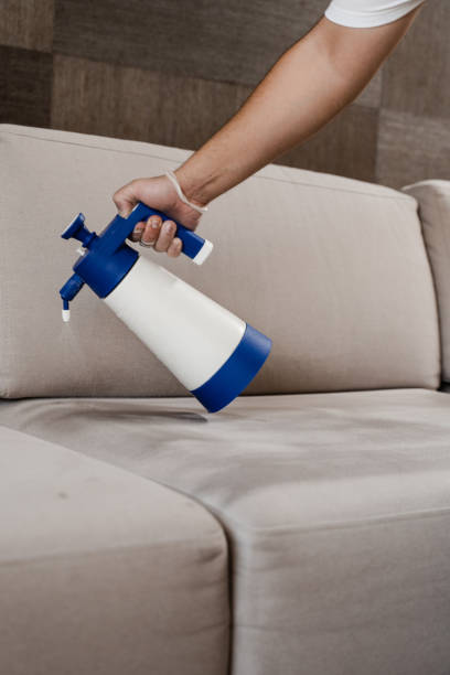 istock Spraying detergent on couch for dry cleaning using extractor machine. Process of dry cleaning for removing stains and dirt from couch at home. Professional cleaning service. 1494059970