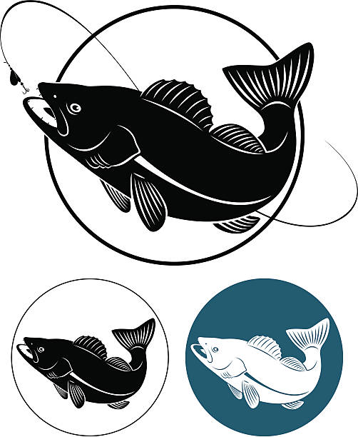 рыба светлопёрый судак - predatory fish stock illustrations