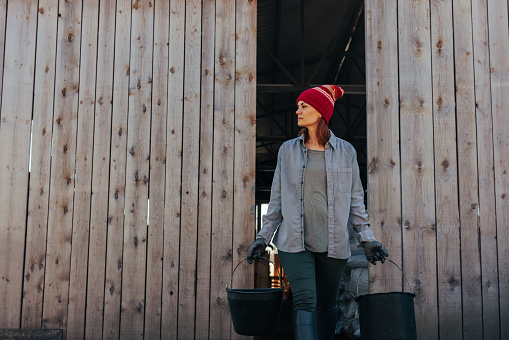 A Caucasian woman in her farming clothes is walking out of the barn at the farm carrying food for the animals in buckets with copy space.