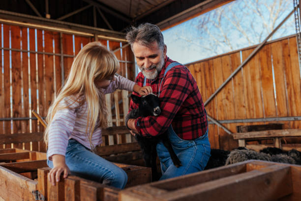 istock Cheerful farmer with child and lamb at barn. 1494066337