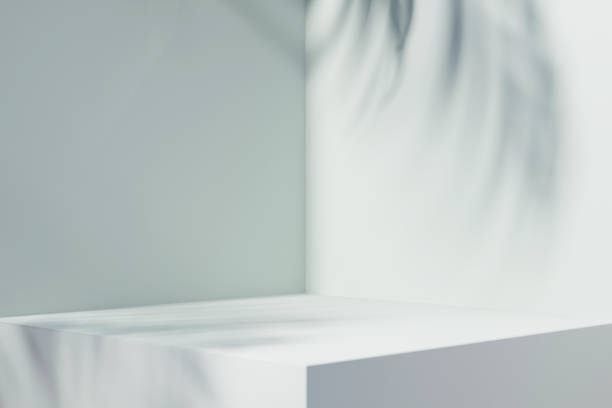 istock Minimal abstract gentle light blue background for product presentation. Tropical leaf shadow on plaster wall. 3d render. Spring and summer. 1494066496