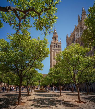 Seville, Spain - Apr 4, 2019: Patio de los Naranjos (Orange Tree Courtyard) at Seville Cathedral - Seville, Andalusia, Spain