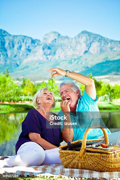Feliz Pareja Senior Foto de stock y más banco de imágenes de 65-69 años - 65-69 años, Actividades recreativas, Adulto