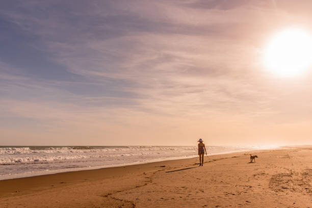 istock Woman walking with her dog on the beach. 1494079901