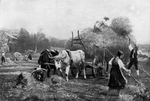 istock Haymaking, Painting by Paul Friedrich Meyerheim - 19th Century 1494089364