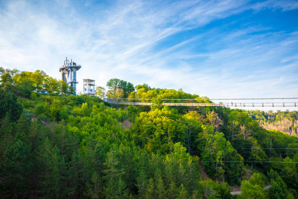 Pedestrian suspension bridge above Rappbodetalsperre lake and Rappbode River in Harz Mountains National Park, Germany