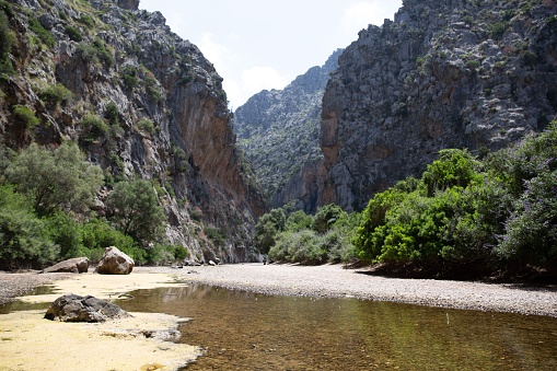 Two adults stand in a shallow river in a narrow canyon surrounded by rocky cliffs and lush vegetation