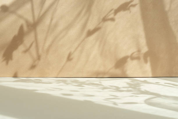 tropical leaf shadow blank background composition for product presentation. the background is beige. nude studio minimal showcase - construction platform fotos imagens e fotografias de stock
