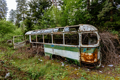 Old overgrown broken bus. Green post-apocalyptic concept.