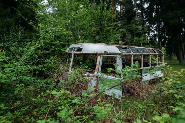 istock Old overgrown broken bus. Green post-apocalyptic concept 1494099779