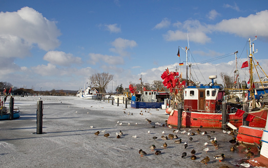 Winter in Niendorfer Hafen, Timmendorfer Strand, Schleswig-Holstein