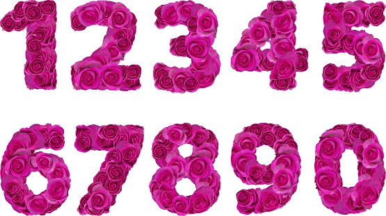 font with pink roses