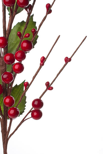 istock Border decoration christmas holly with red berries 149411150