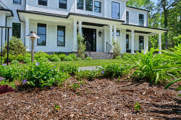 istock Suburban garden after Spring tidying 1494124432
