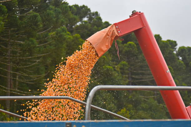 Mechanized Harvest stock photo