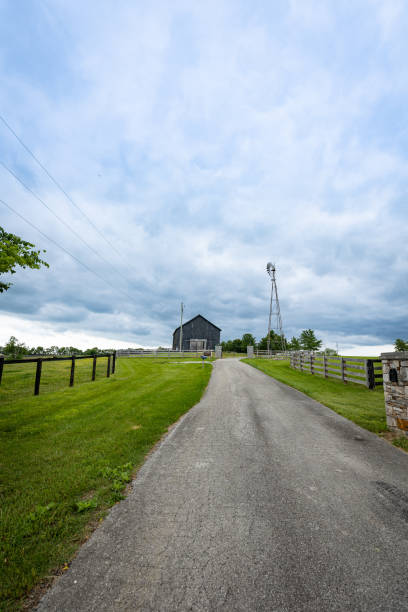 istock Rural road with green grass and clouds 1494129930