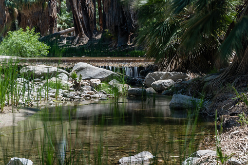 Scenic Palm Canyon Creek vista in Palm Springs, Southern California