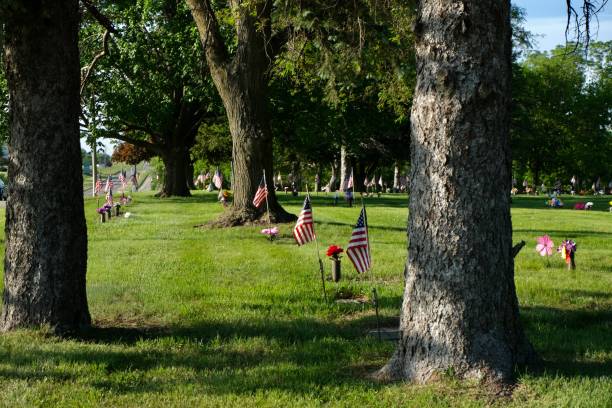 istock Memorial Day series 1494130178
