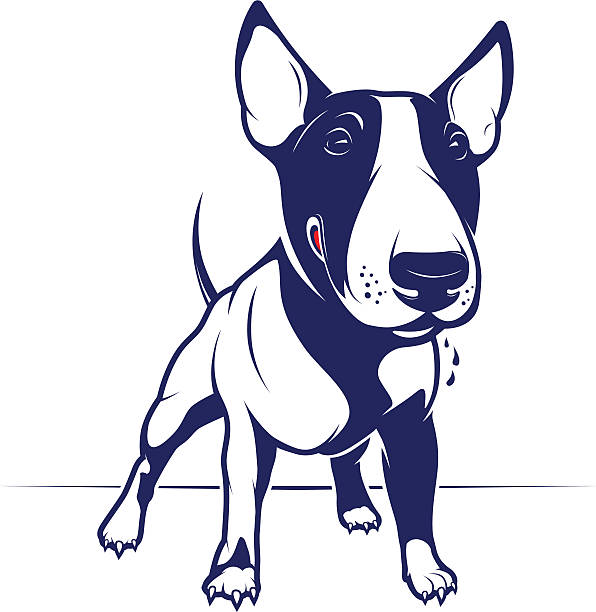 Bull Terrier Cartoon Style English Bull Terrier bull terrier stock illustrations